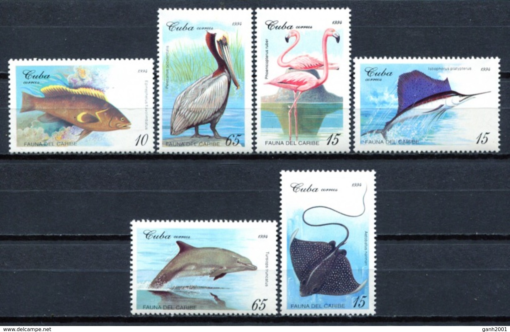 Cuba 1994 / Birds Fishes MNH Aves Peces Poisson Oiseaux Vögel Fische / Cu14031  C5-25 - Otros & Sin Clasificación