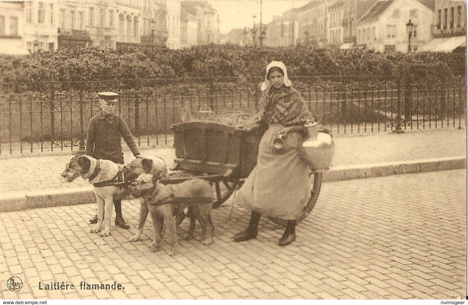 LAITIÈRE FLAMANDE  --  Attelage De Chiens - Andere & Zonder Classificatie