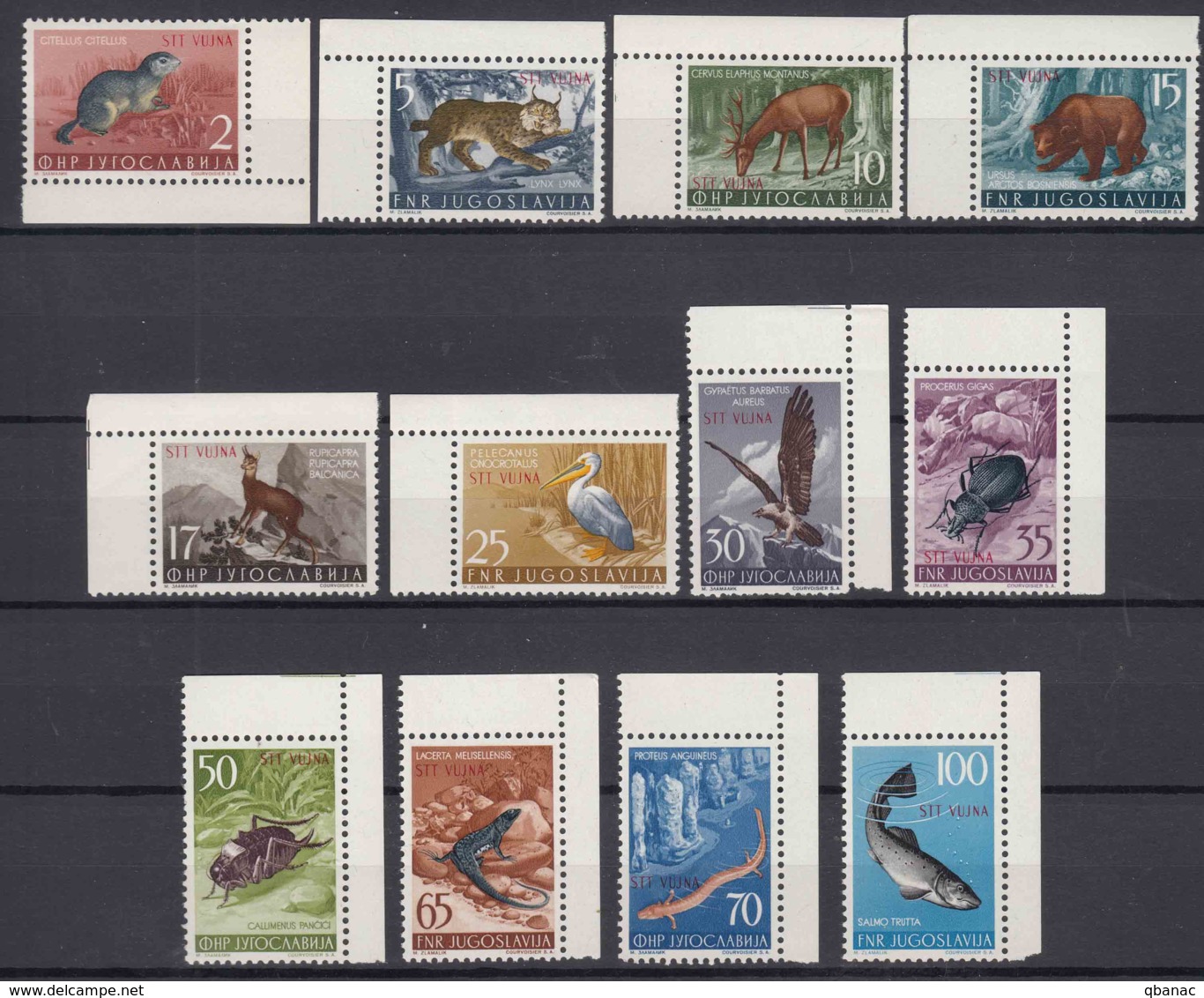 Italy Yugoslavia Trieste Zone B, Animals 1954 Mi#123-134, Sassone#101-112 Mint Never Hinged Marginal Set - Nuevos