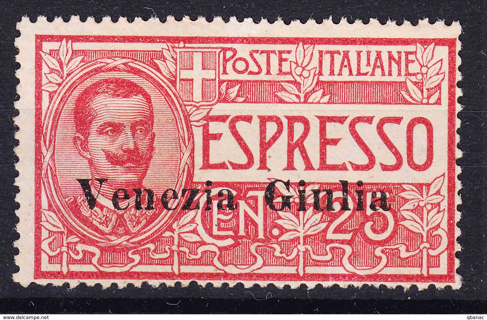 Italy Venezia Giulia 1919 Espressi Espresso Sassone#1 Mint Never Hinged - Venezia Giulia