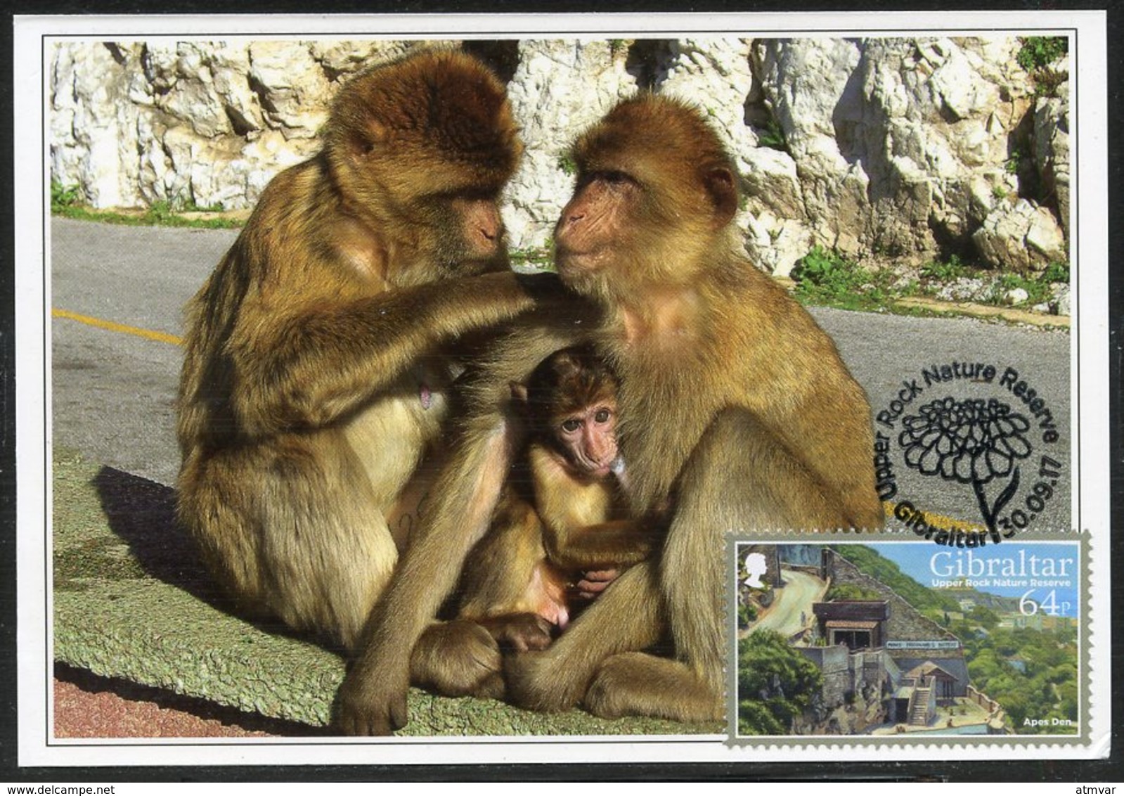 GIBRALTAR (2017). Carte Maximum Card - Apes Den, Monos, Macacos, Ape, Singe - Upper Rock Nature Reserve - Gibraltar