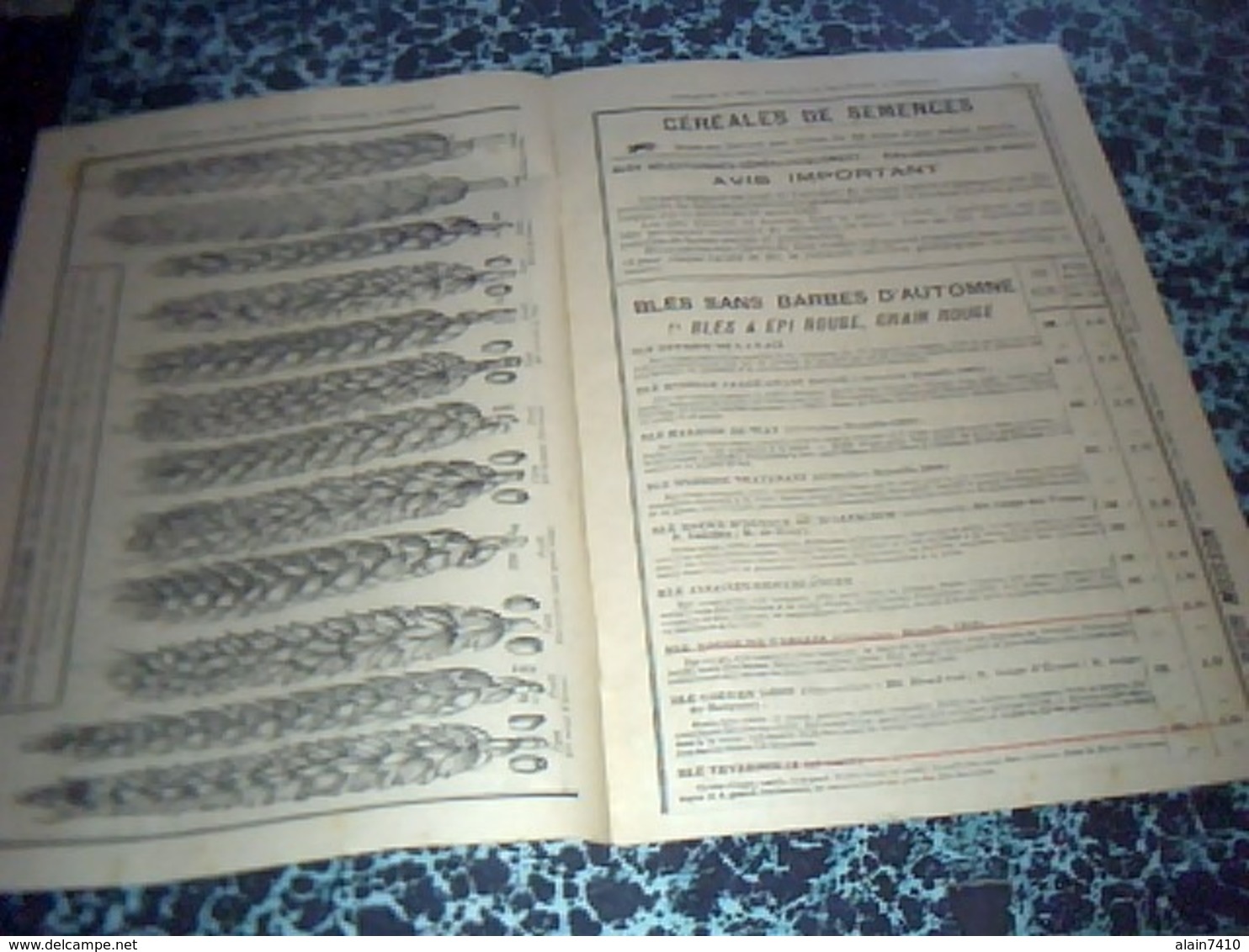 Publicité  Agriculture  Livret De 1925 Prix Courant Des Semences D'automne Benaiffe & Fils à Carignan Ardennes - Publicités