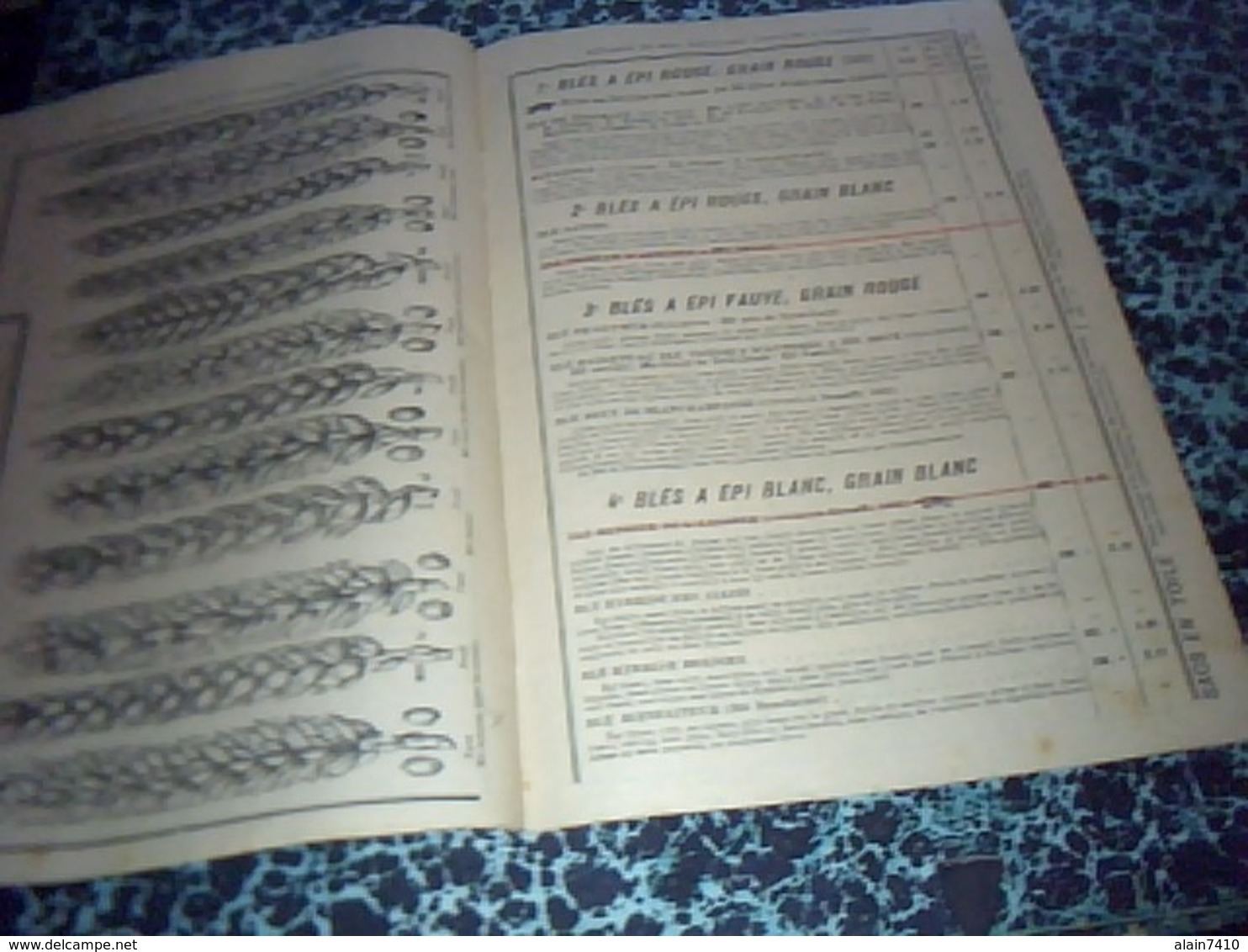 Publicité  Agriculture  Livret De 1925 Prix Courant Des Semences D'automne Benaiffe & Fils à Carignan Ardennes - Publicités