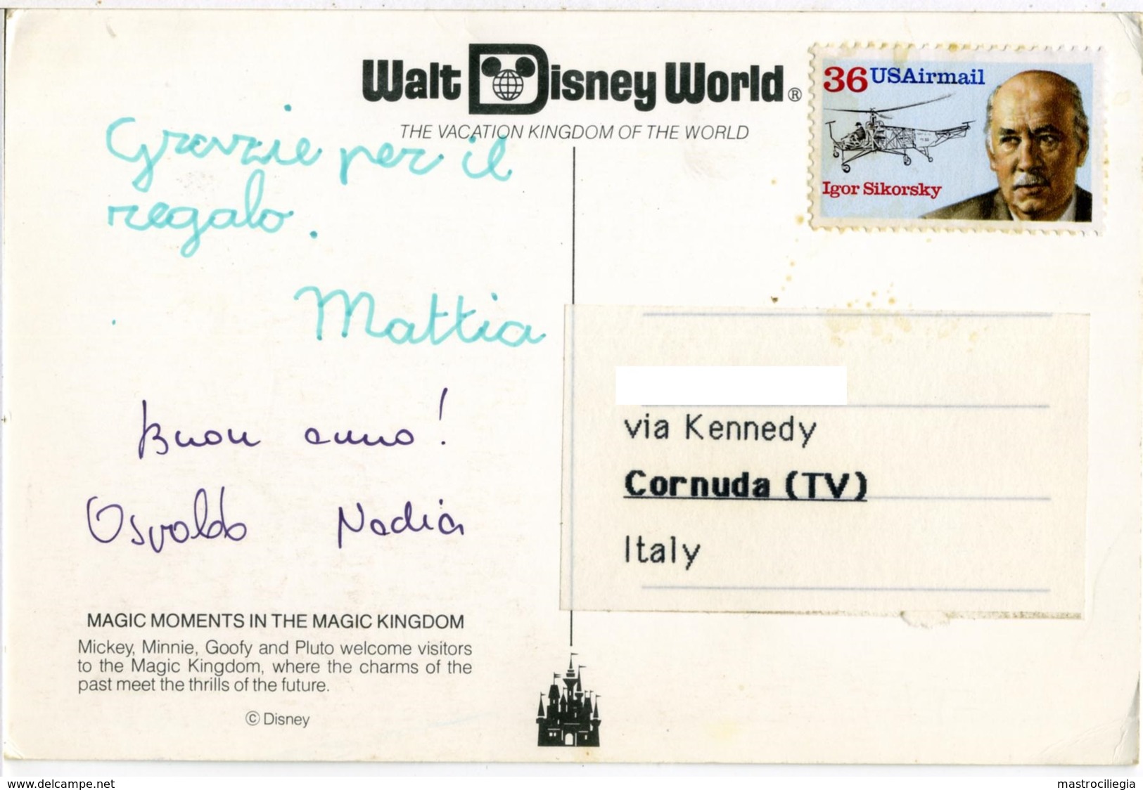 DISNEYWORLD  Multiview  Mickey Minnie Goofy And Pluto Welcome Visitors To Magic Kingdom - Disneyworld