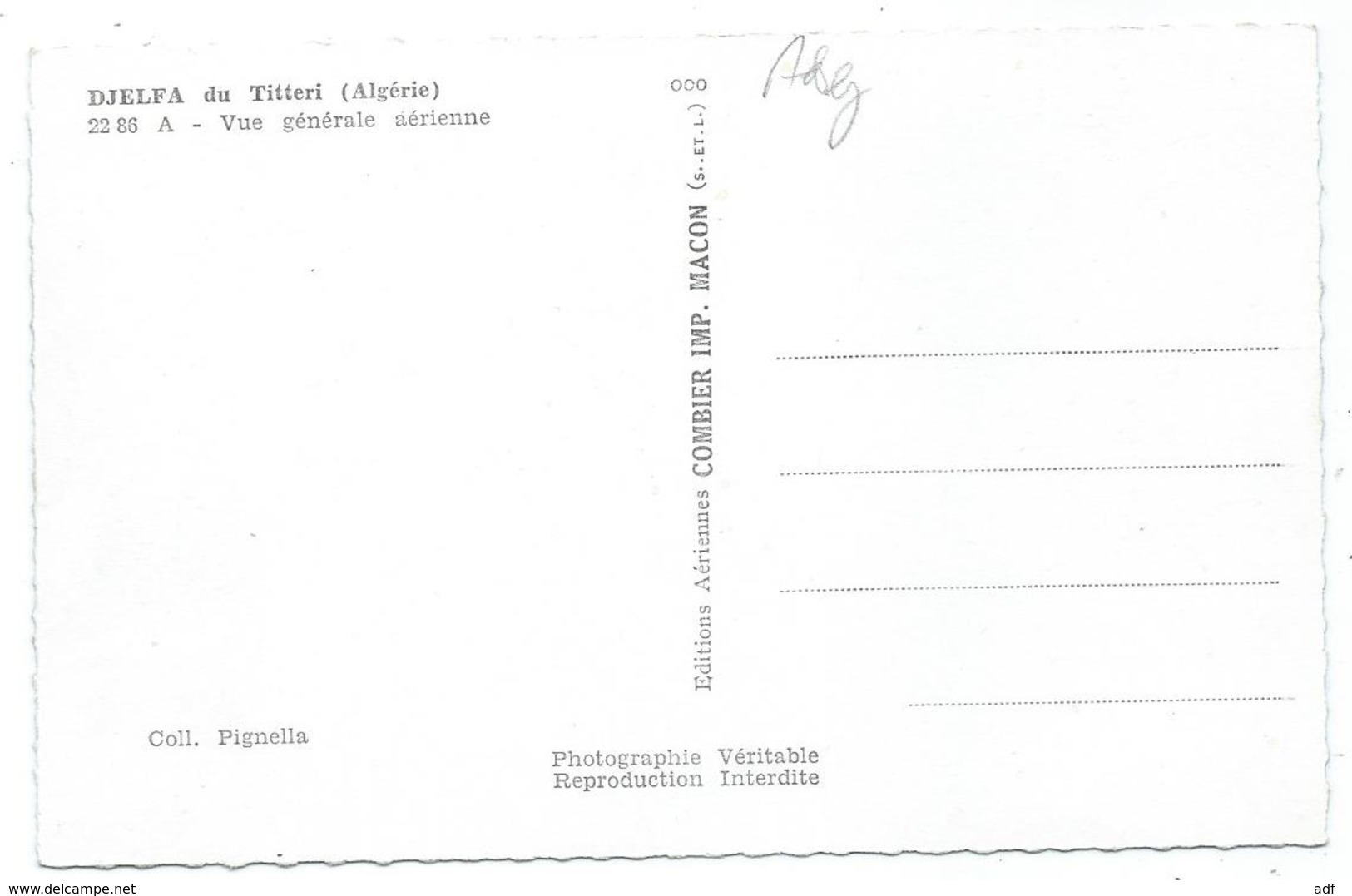 CPSM DJELFA DU TITTERI, VUE GENERALE AERIENNE, Format 9 Cm Sur 14 Cm Environ, ALGERIE - Djelfa