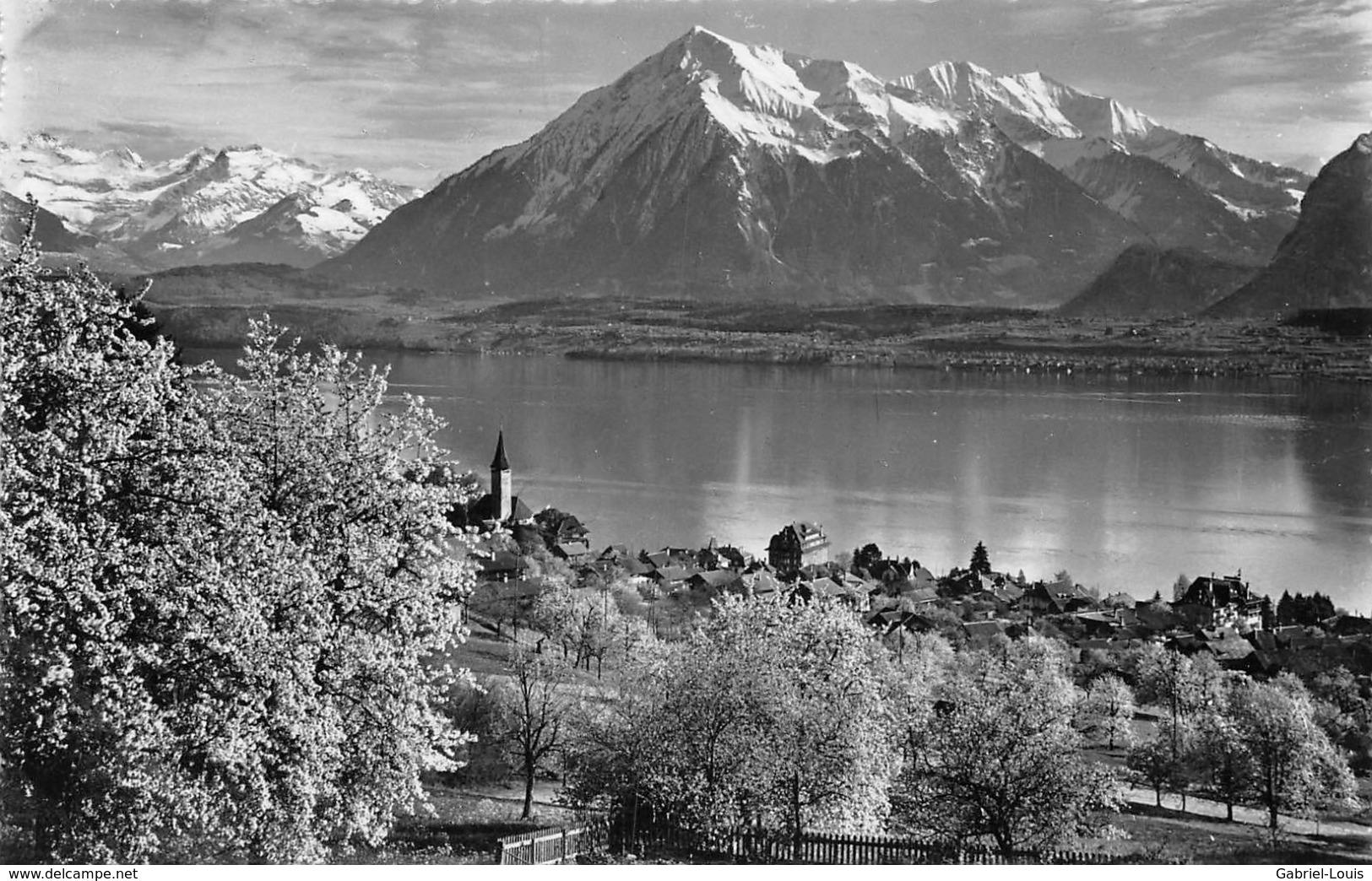 Hilterfingen Am Thunersee Mit Niesen - Hilterfingen