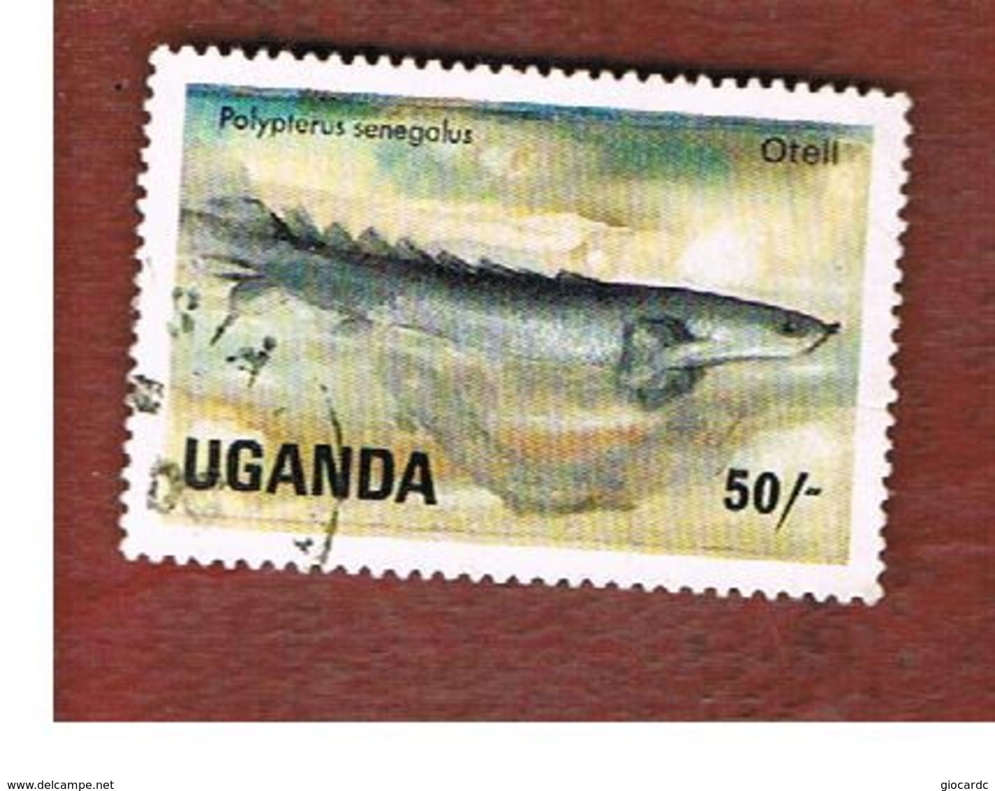 UGANDA   - SG 459   -  1985 LAKE FISHES: GRAY BICHIR      - USED ° - Uganda (1962-...)