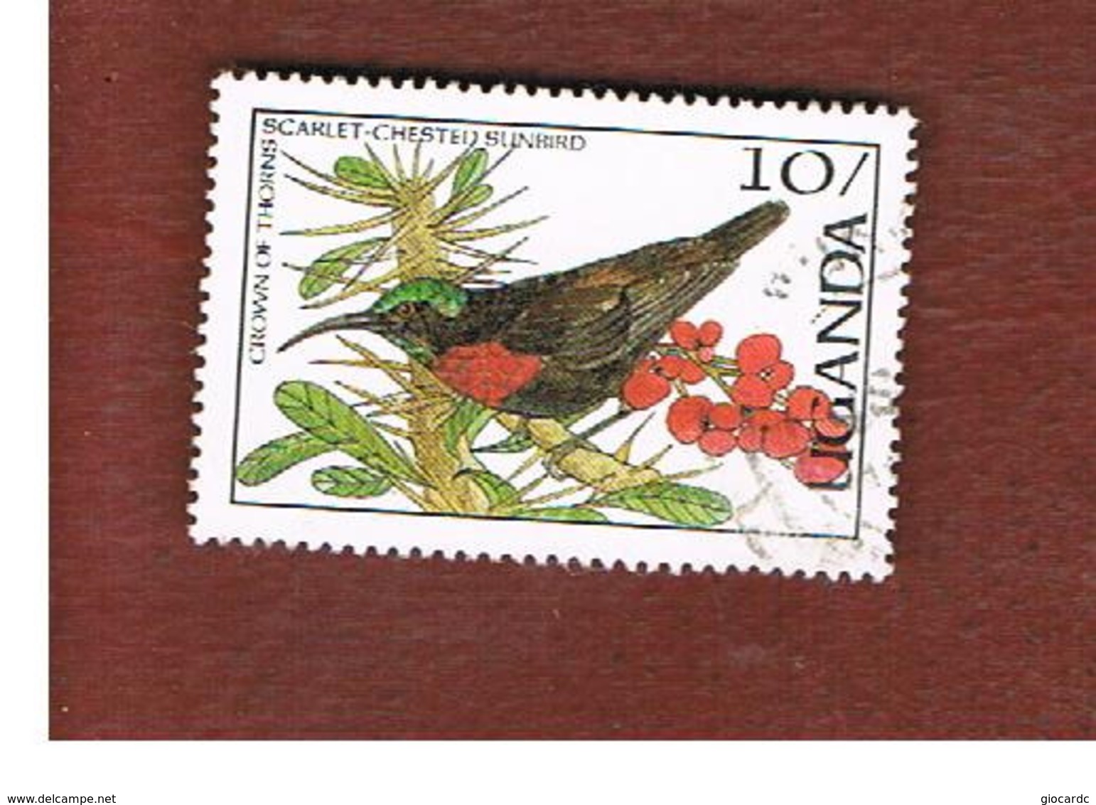 UGANDA   - SG 561   -  1987 BIRDS: SCARLET-CHESTED SUNBIRD      - USED ° - Uganda (1962-...)