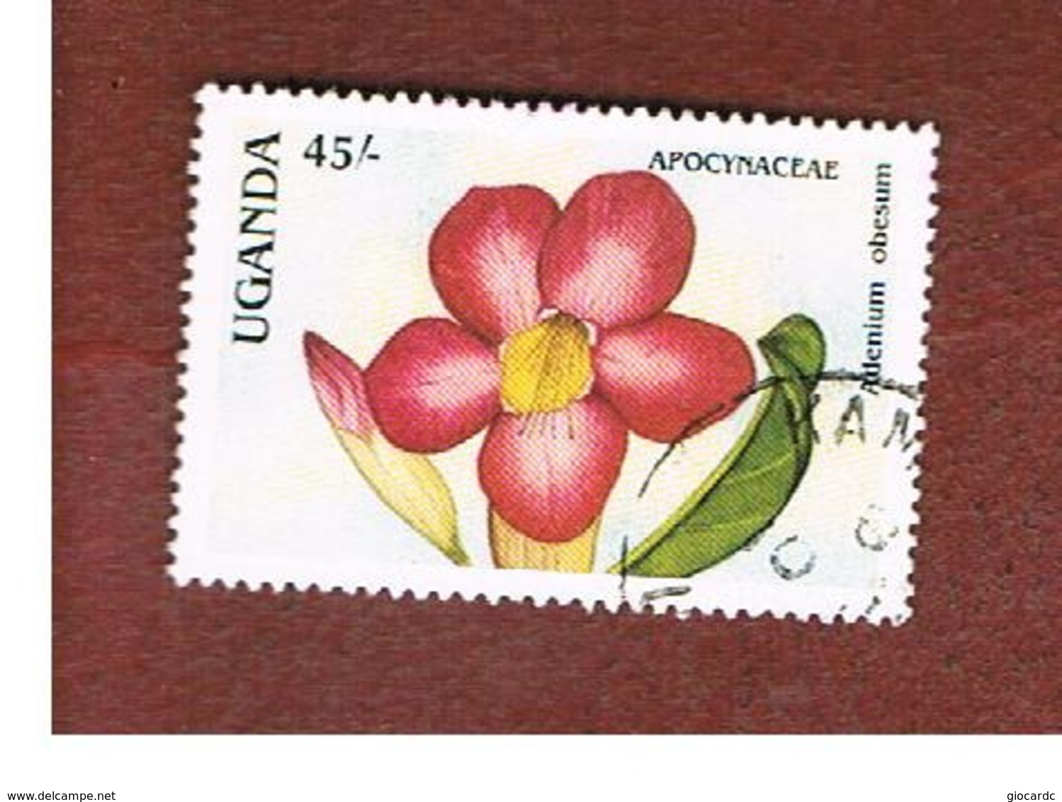 UGANDA   - SG 638   -  1988 FLOWERS: ADENIUM OBESUM       - USED ° - Uganda (1962-...)