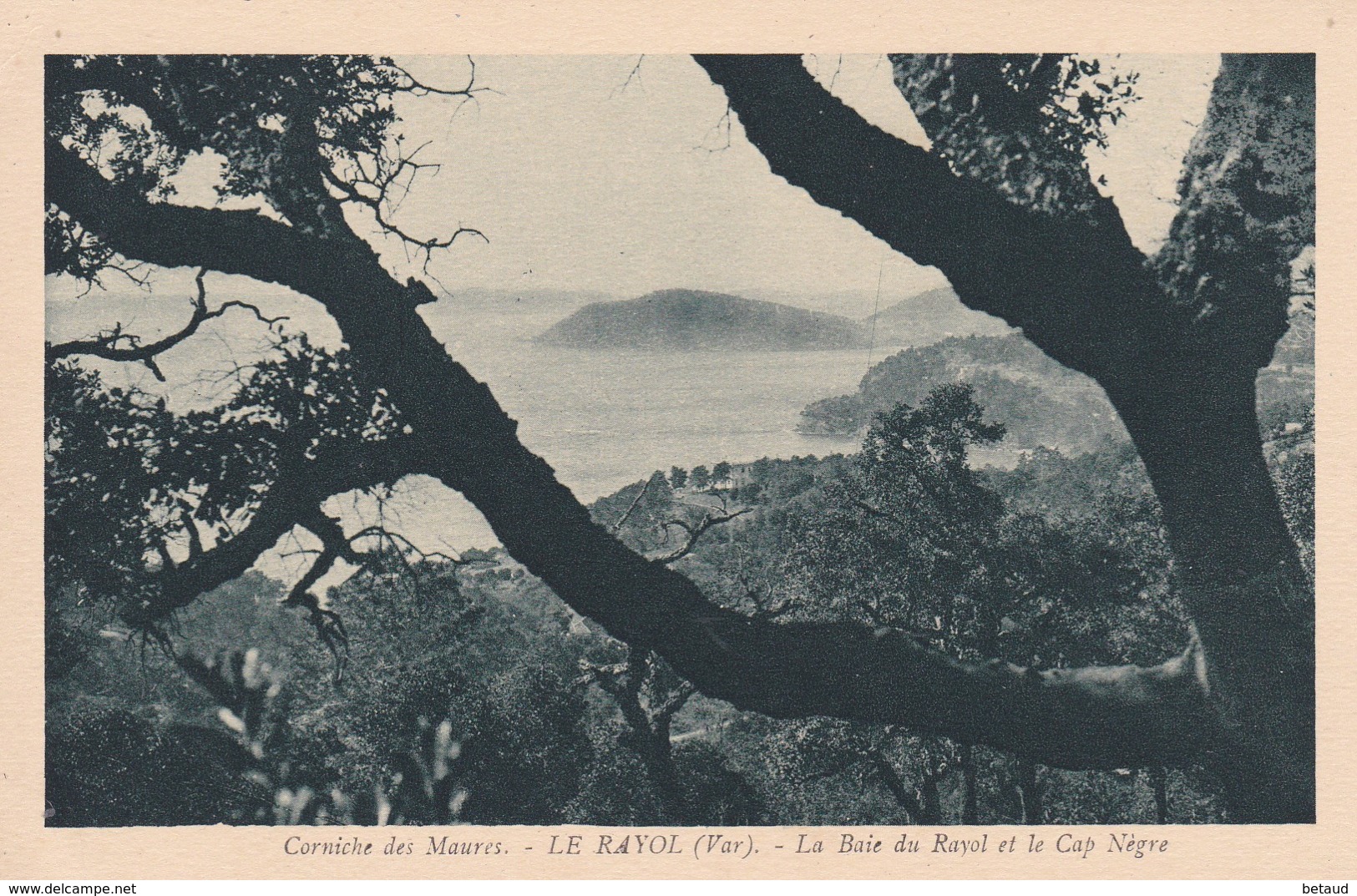 Le Rayol - La Baie Du Rayol Et Le Cap Nègre - Rayol-Canadel-sur-Mer