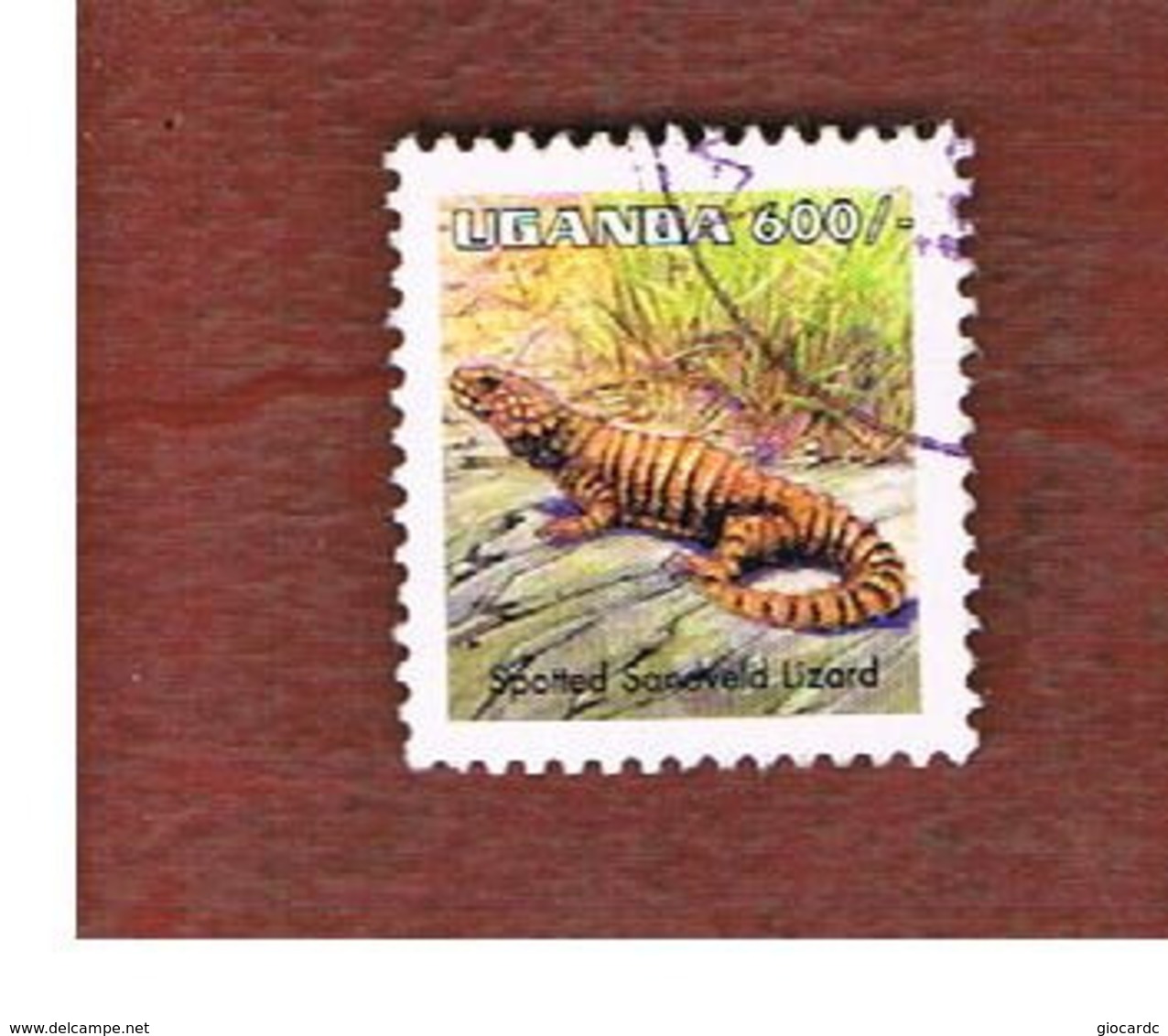 UGANDA   - SG 1520a  -  1998  REPTILES: NUCRAS INTERTEXTA     - USED ° - Uganda (1962-...)