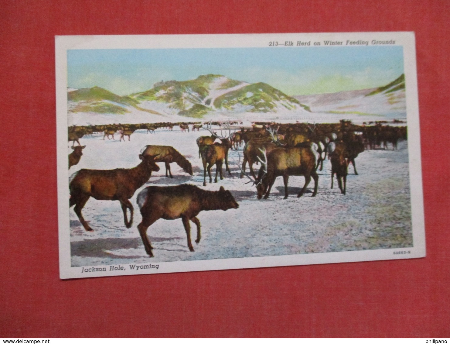 Elk Herd Jackson Hole Wyoming   Ref    3587 - Other & Unclassified