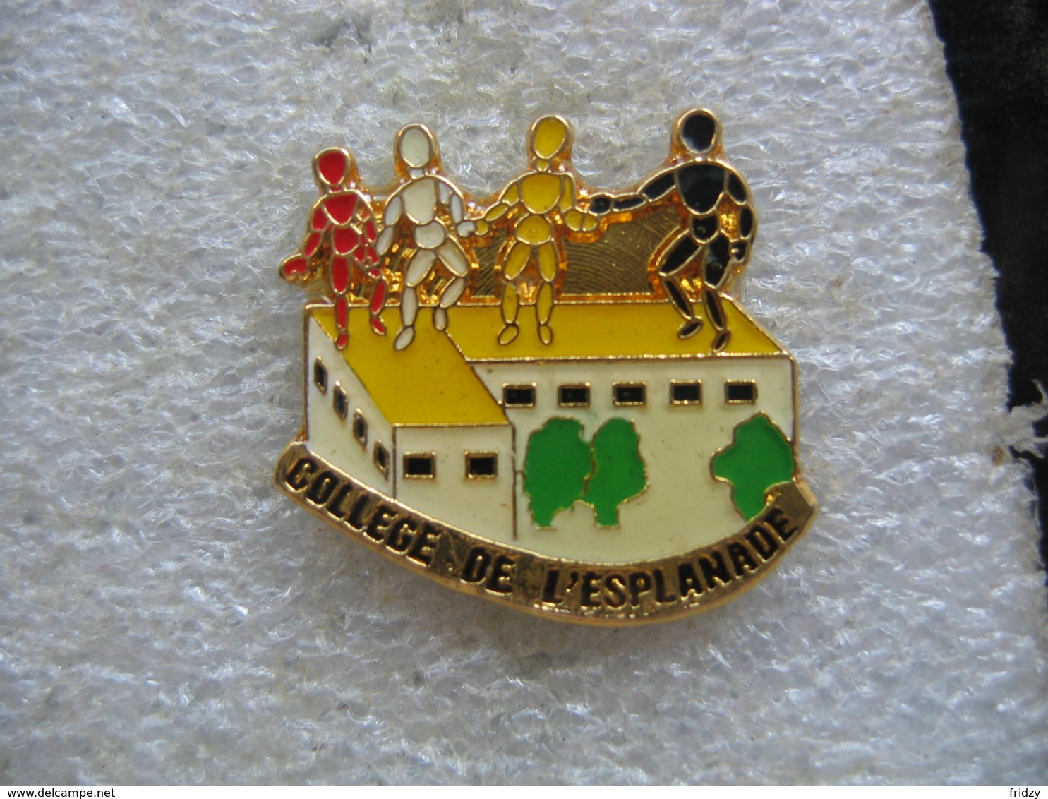 Pin's Du College De L'Esplanade à STRASBOURG - Administración