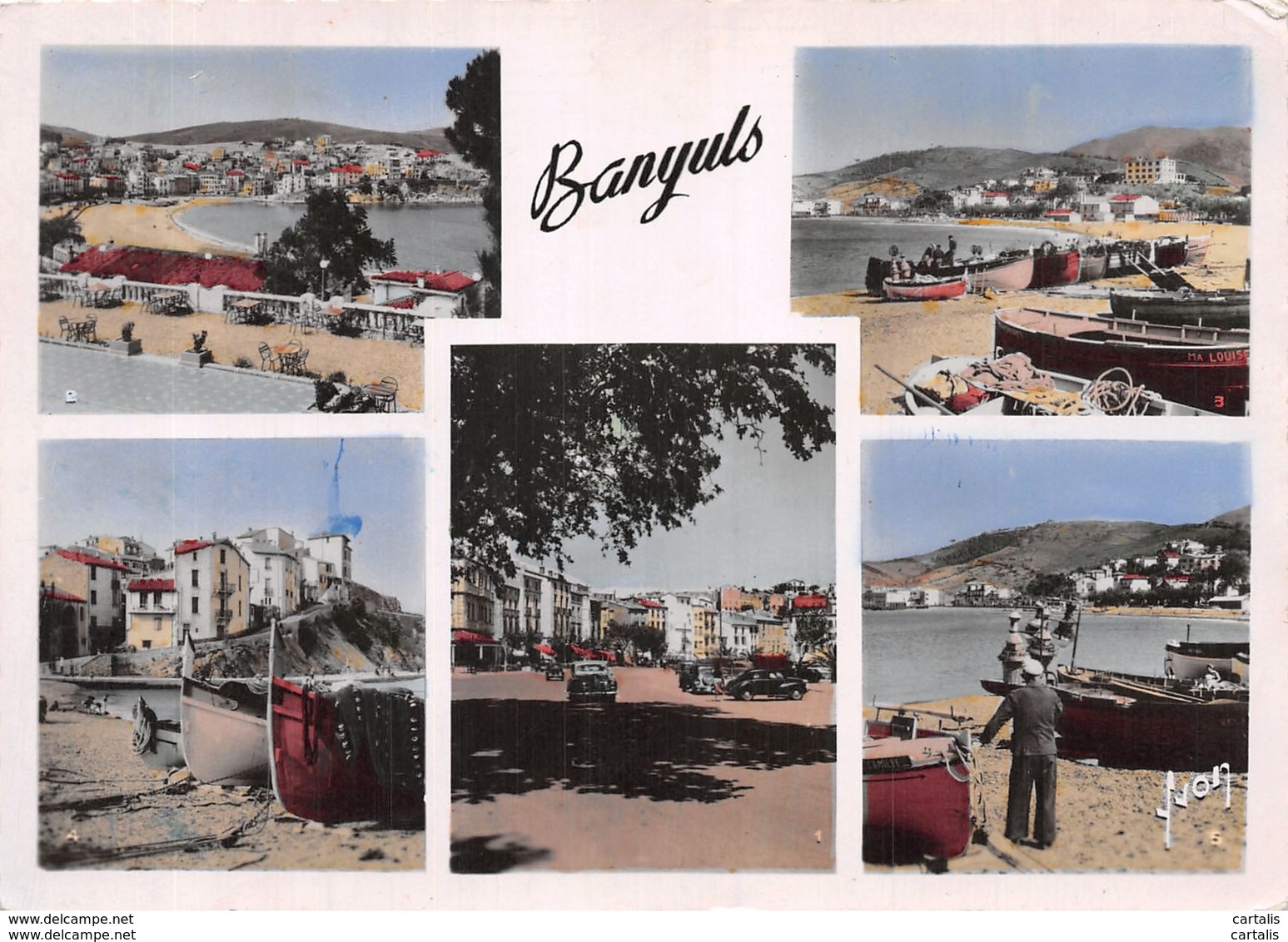 66-BANYULS-N°C-4300-B/0259 - Banyuls Sur Mer