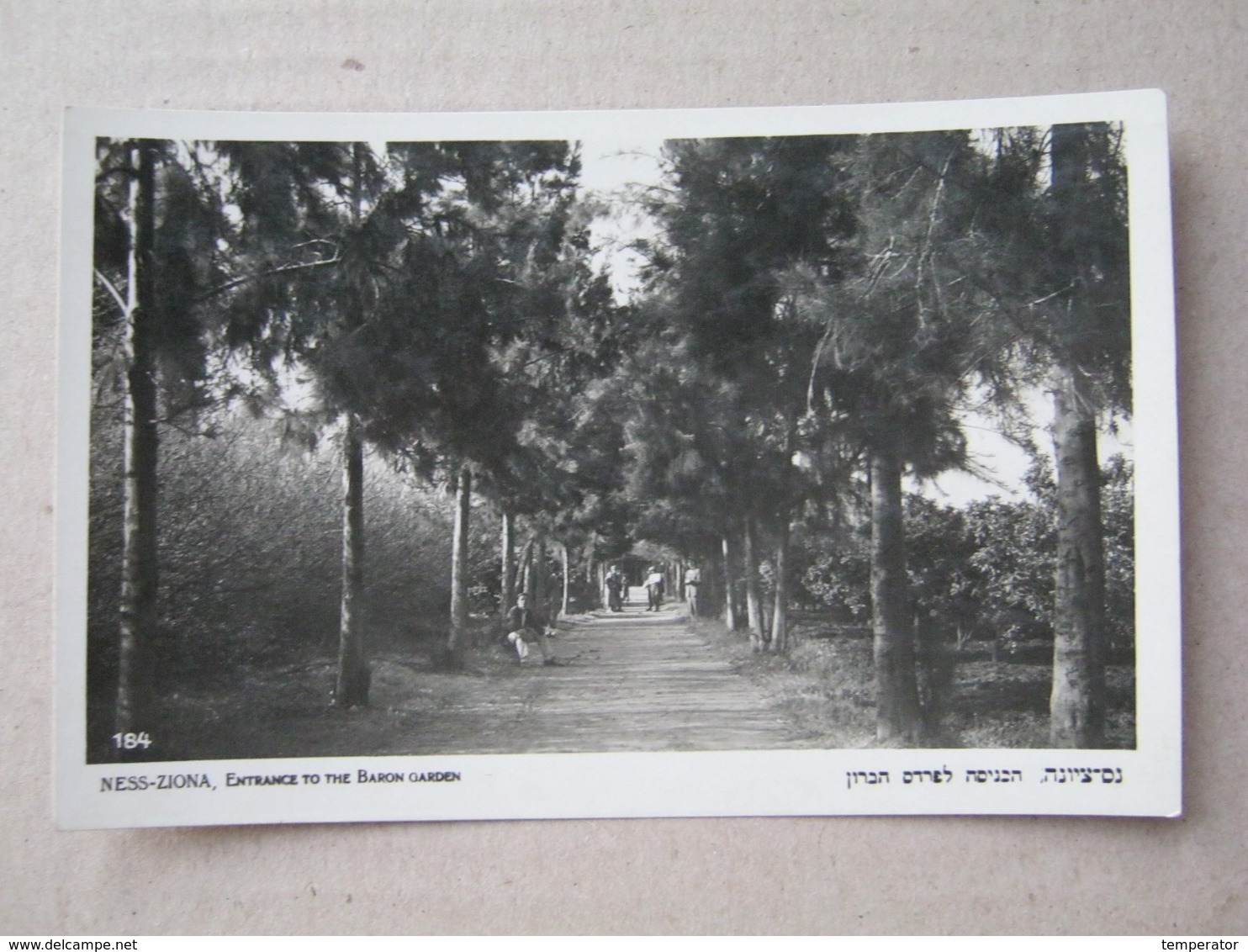 Judaica - NESS ZIONA, Entrance To The Baron Garden- EDIT. ELIAHU BROS - JAFFA & TEL-AVIV. - Jodendom