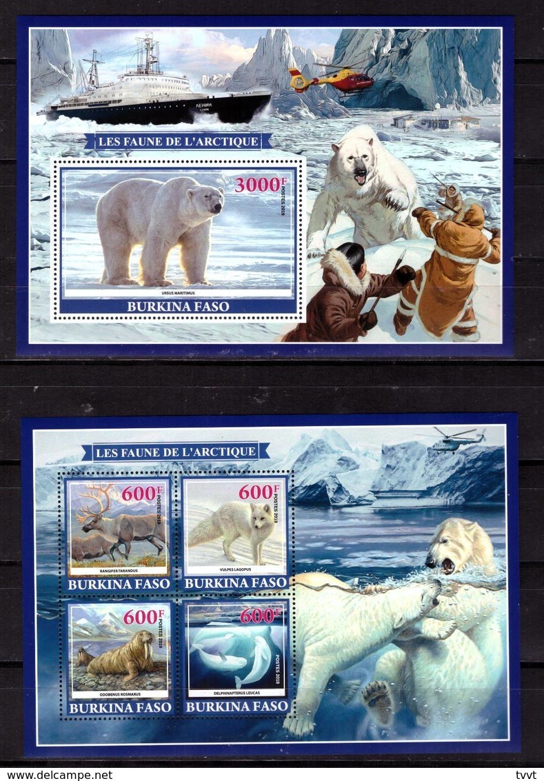 Burkina Faso, 2019. [bf1913] Arctic Fauna - Raubkatzen