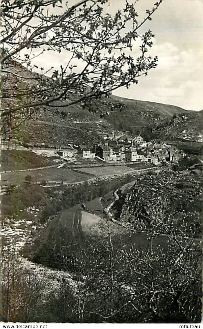 48* LE PONT DE MONTVERT   CPSM (petit Format)                 MA93,1253 - Le Pont De Montvert