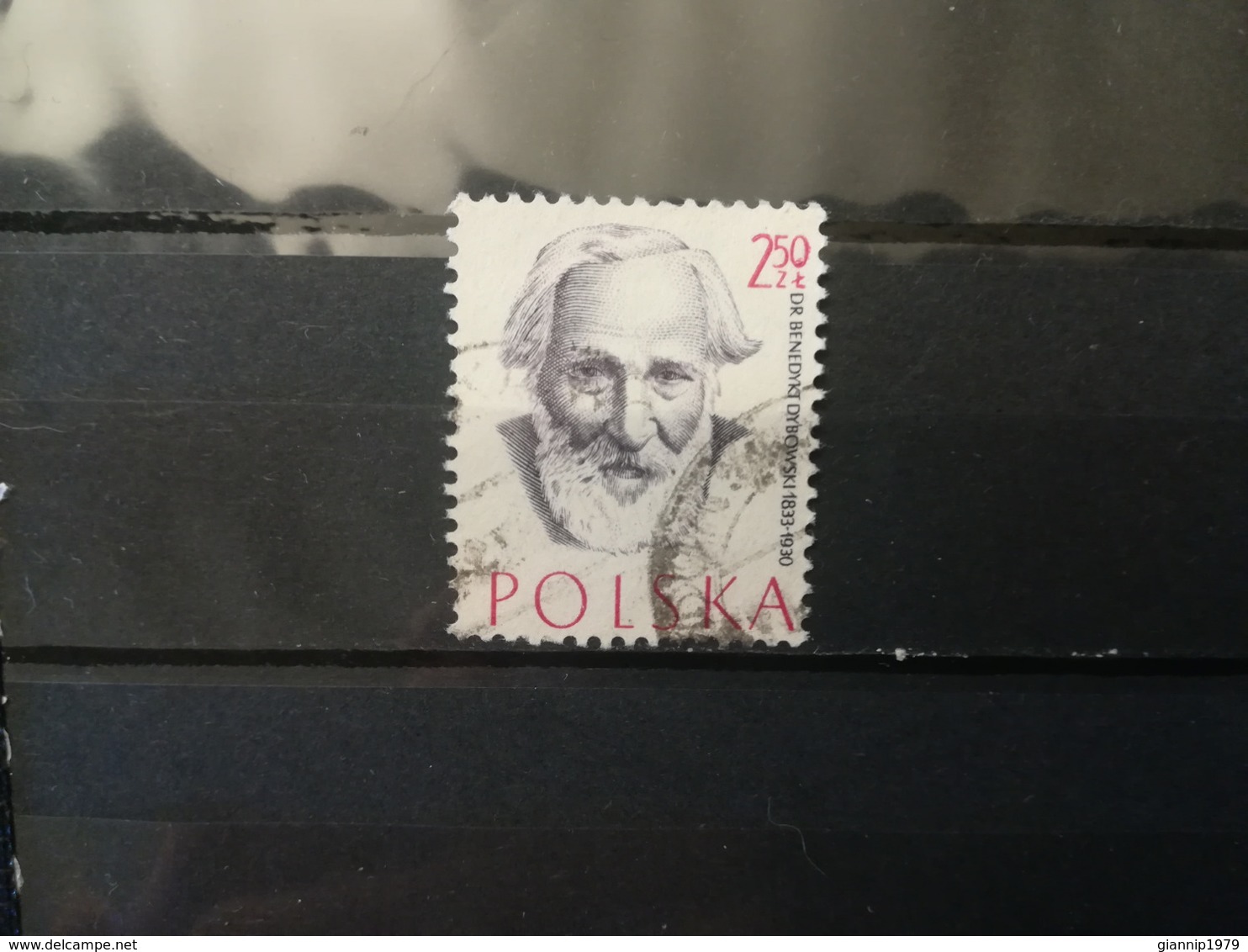 FRANCOBOLLI STAMPS POLONIA POLAND 1957 USED SERIE MEDICI FAMOSI POLACCHI FAMOUS DOCTOR OBLITERE' POLSKA - Usati