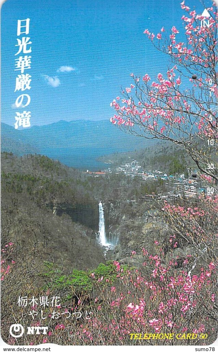 FLEUR - FLOWER - PAYSAGE - CAMPAGNE - NATURE - LANDSCAPE - ARBRE  - Télécarte Japon - Fleurs