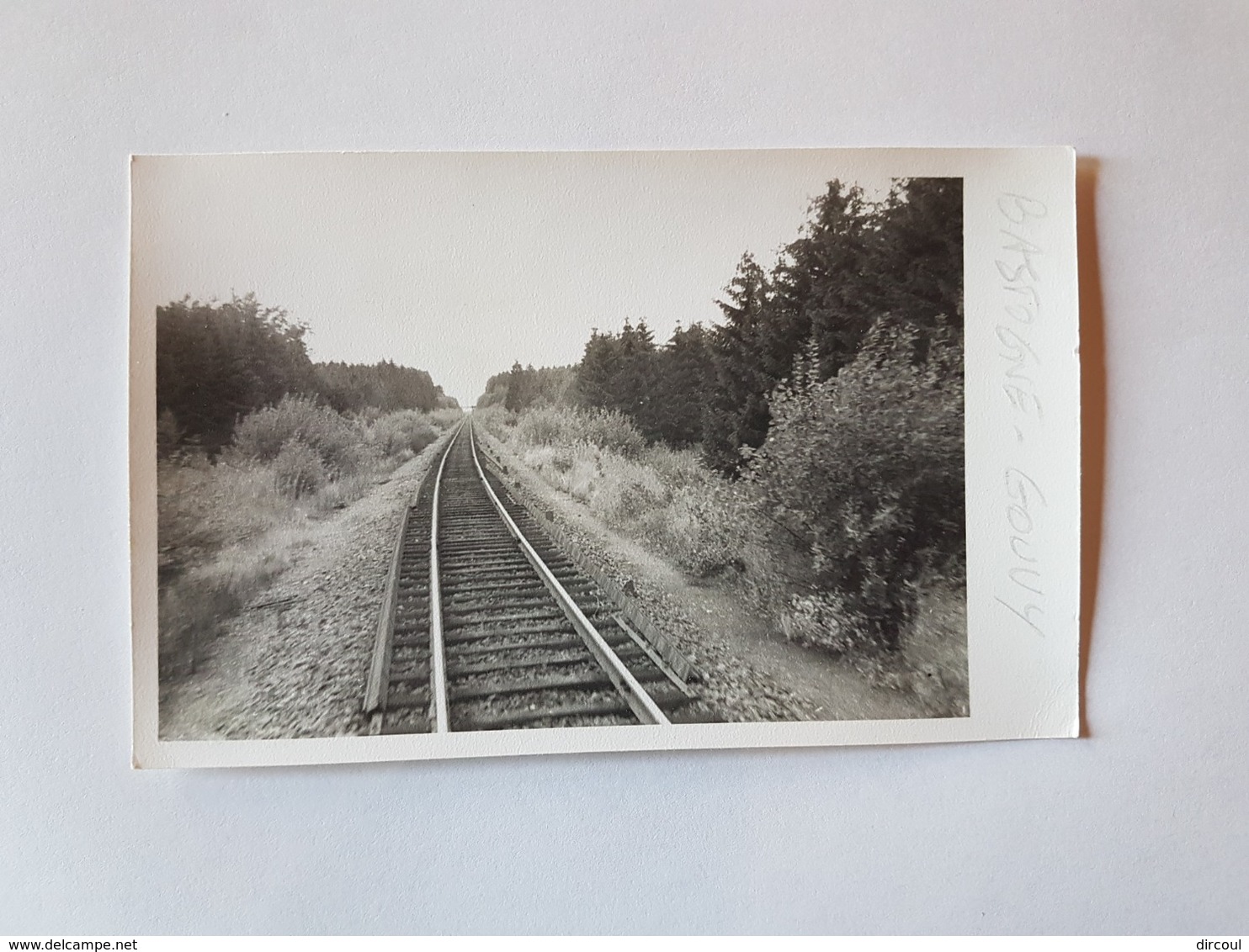 41530 -  Chemin De Fer  -  Ligne  Bastogne  Gouvy Photo Format Carte - Bastogne