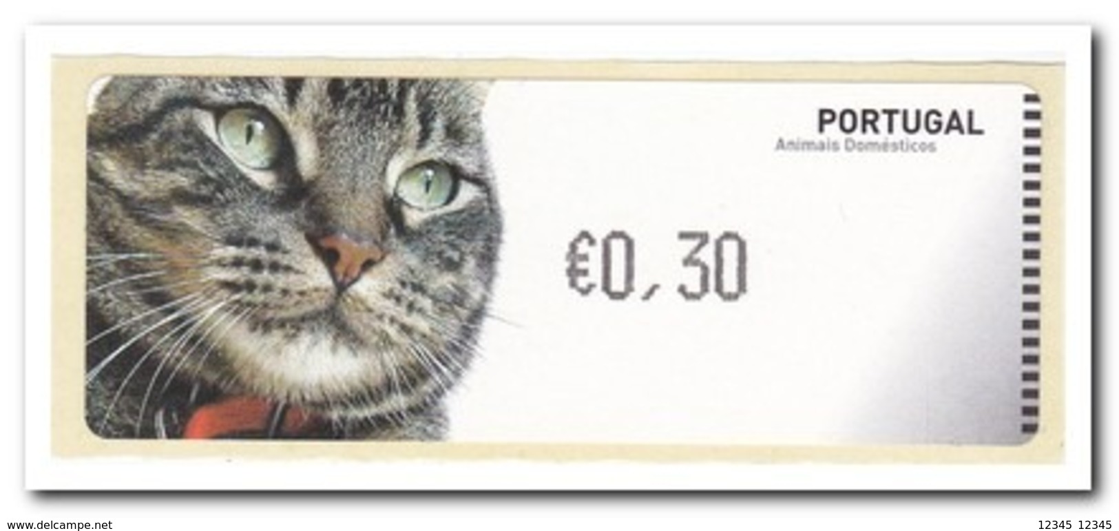 Portugal 2005, Postfris MNH, Cats - Ongebruikt