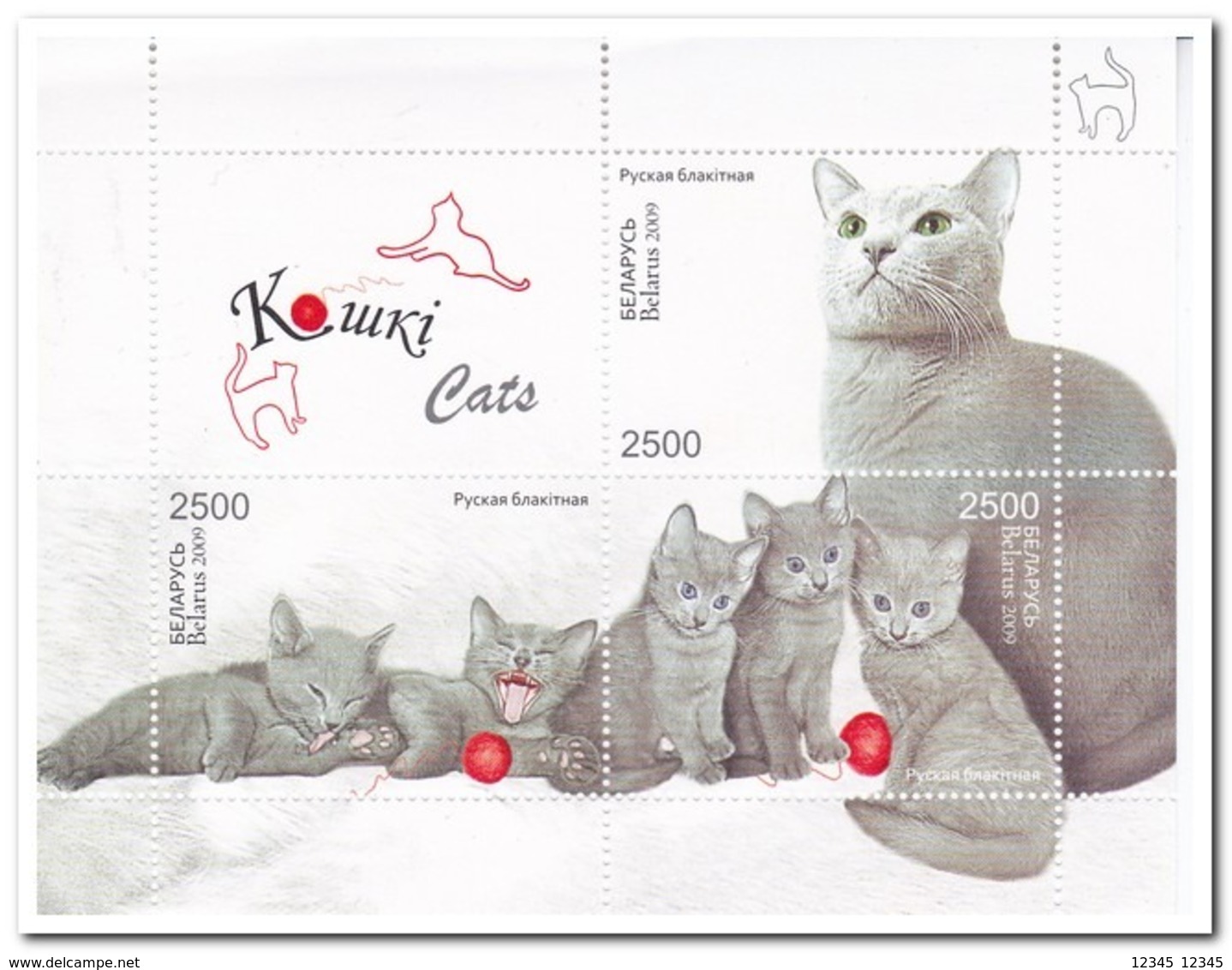 Wit Rusland 2009, Postfris MNH, Cats - Wit-Rusland