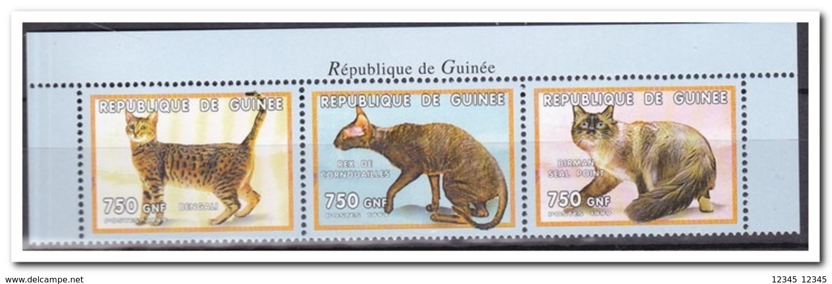 Guinee 1999, Postfris MNH, Cats - Guinee (1958-...)