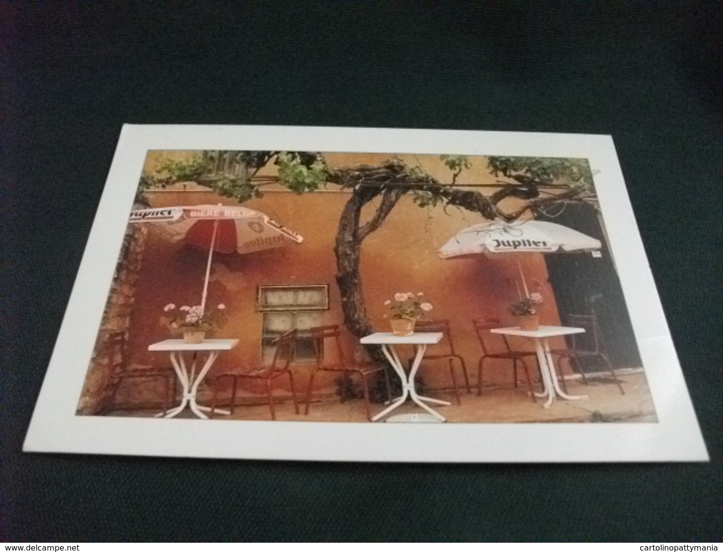 INSEGNA BIRRA BEER BIERE BELGE OMBRELLONE CAFFE' PHOTO DOMINIQUE ZINTZMEYER - Cafés
