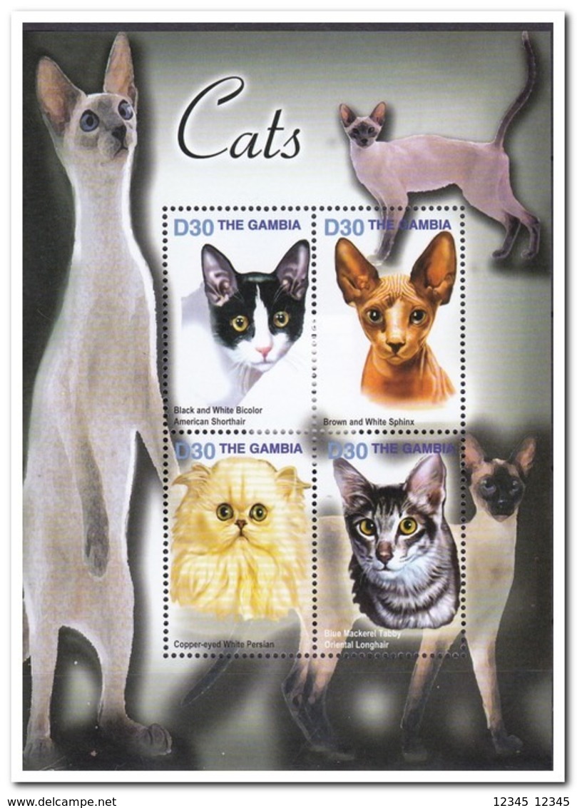 Gambia 2004, Postfris MNH, Cats - Gambia (1965-...)