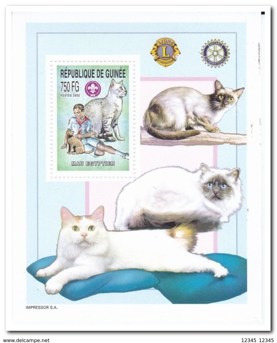 Guinee 2004, Postfris MNH, Cats - Guinee (1958-...)