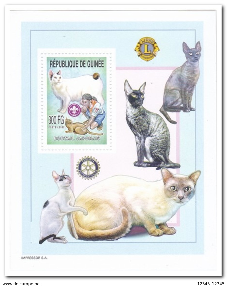 Guinee 2004, Postfris MNH, Cats - Guinee (1958-...)