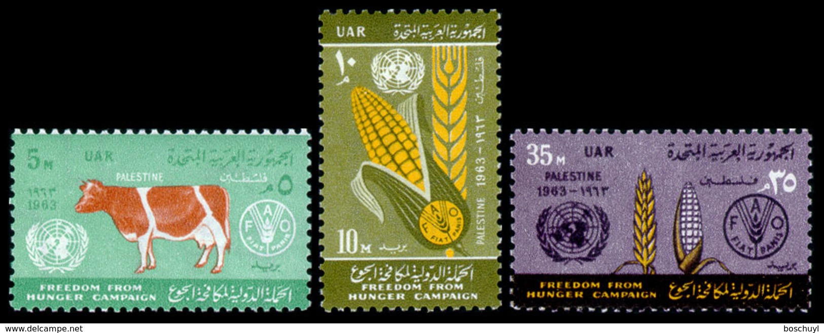 Palestine, Egypt Occupation, 1963, Freedom From Hunger, FAO, United Nations, MNH, Michel 125-127 - Palestine