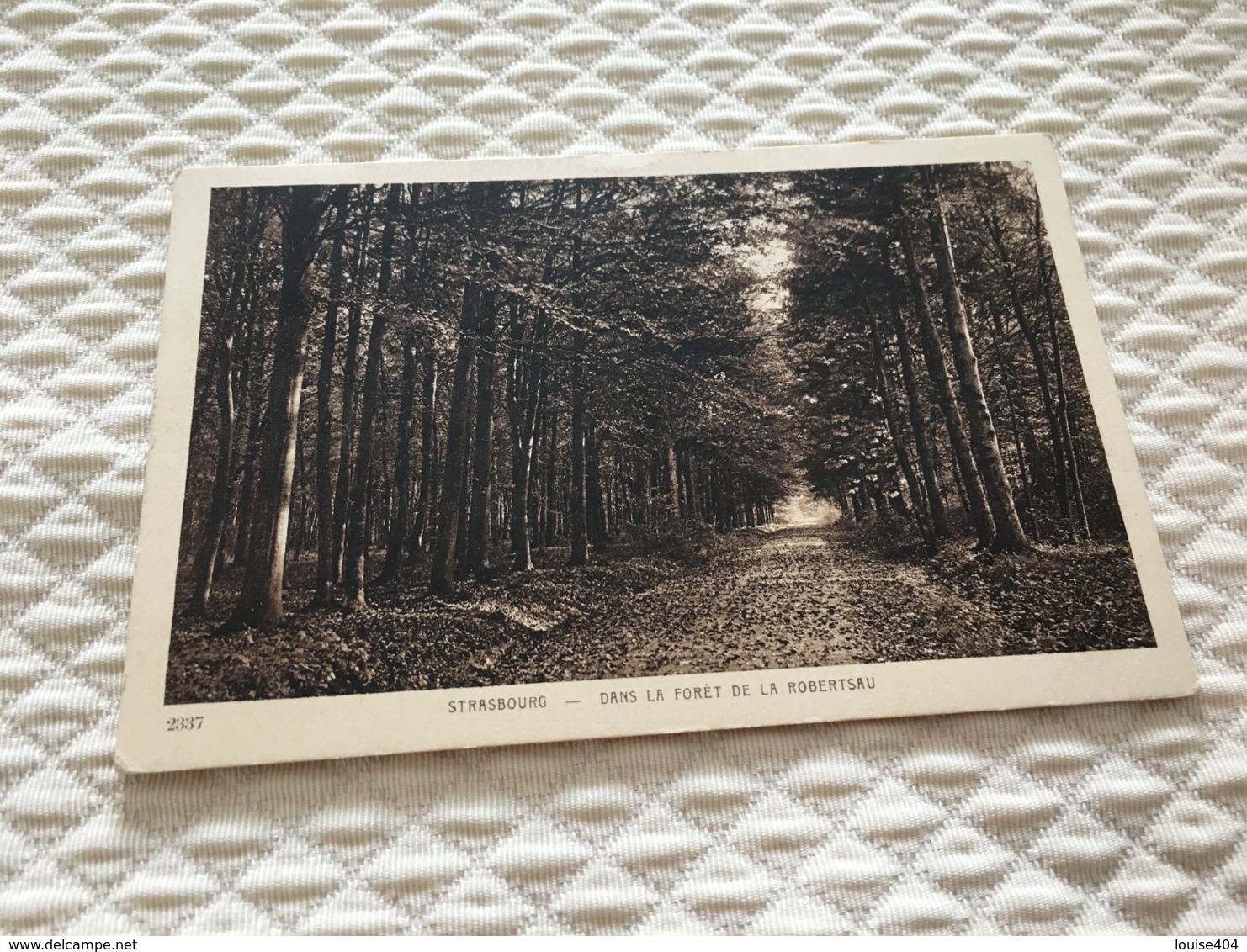 CC - 300 - STRASBOURG - Dans La Forêt De La Robertsau - Strasbourg