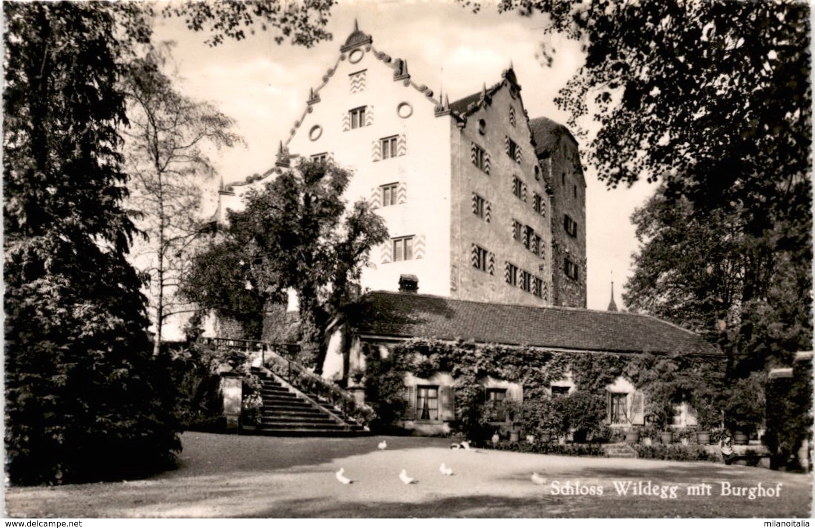 Schloss Wildegg Mit Burghof (732) - Wildegg