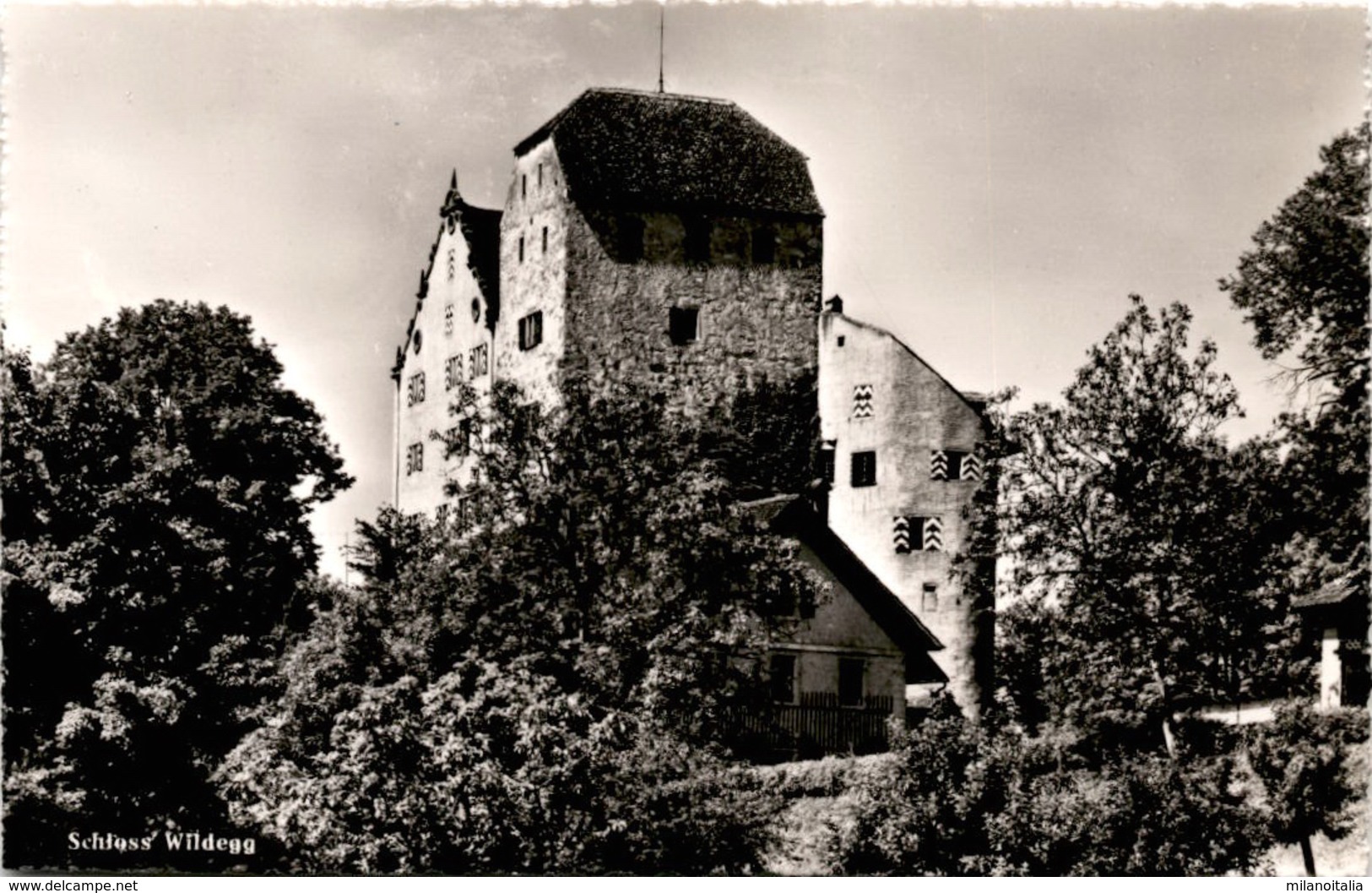 Schloss Wildegg (8482) - Wildegg