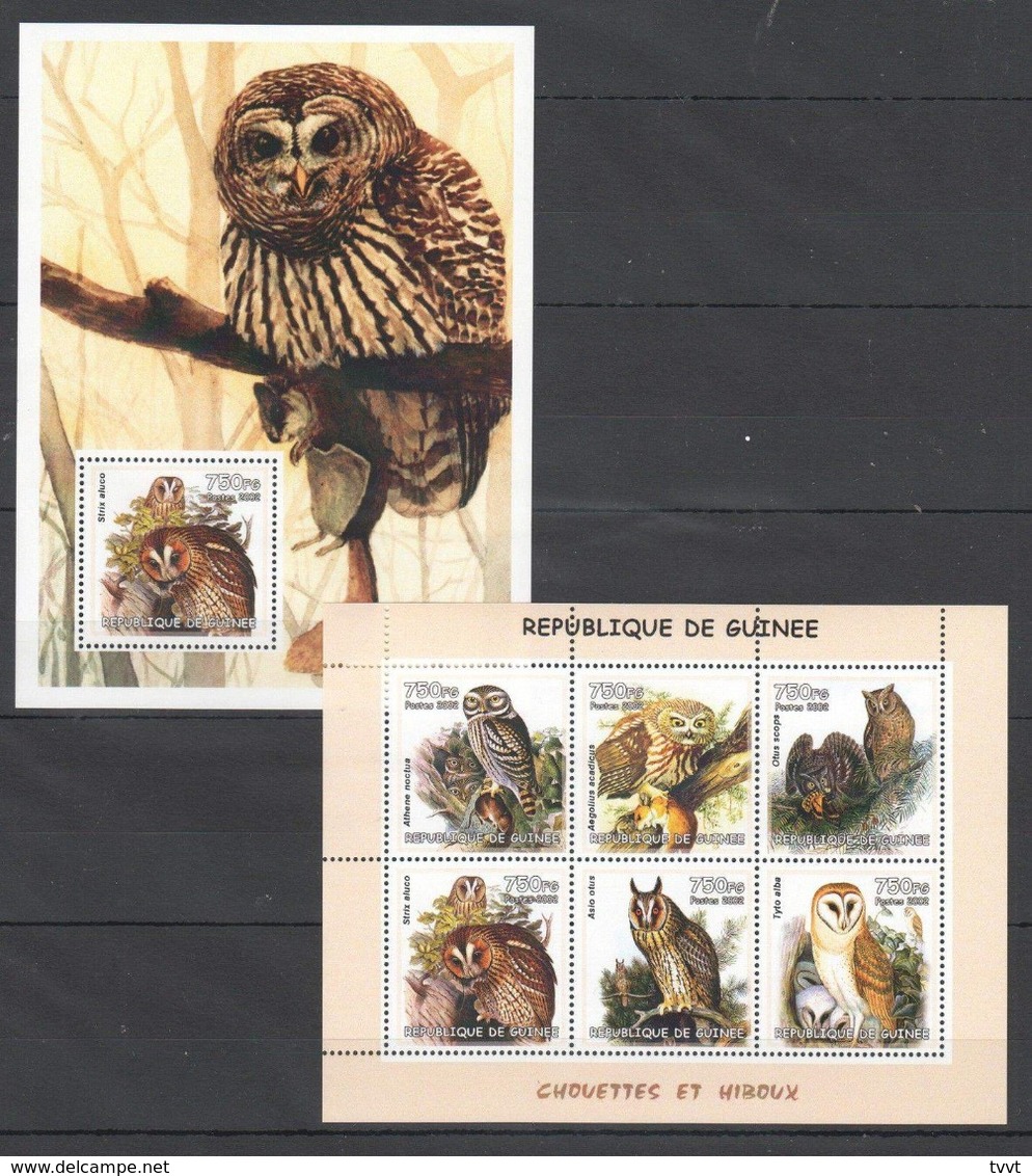 Guinea, 2002. [gu02113_14] Birds, Owls - Owls