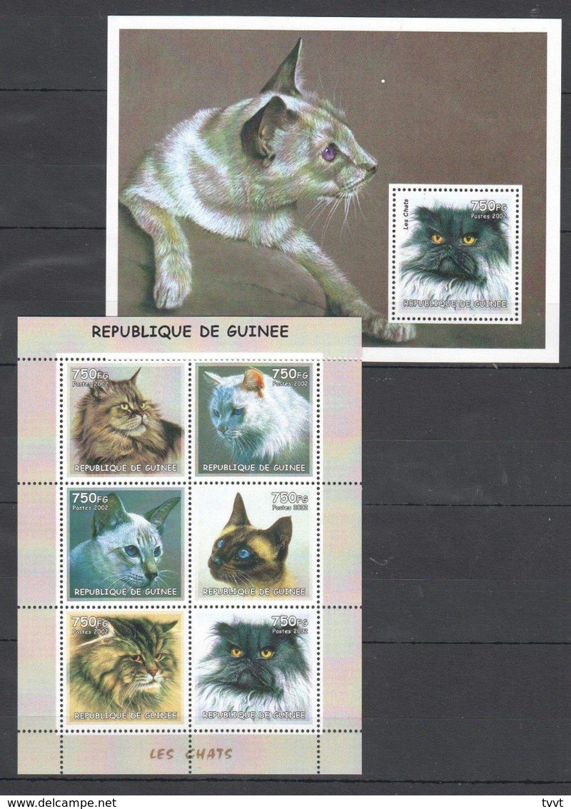 Guinea, 2002. [gu02117_18] Cats - Hauskatzen