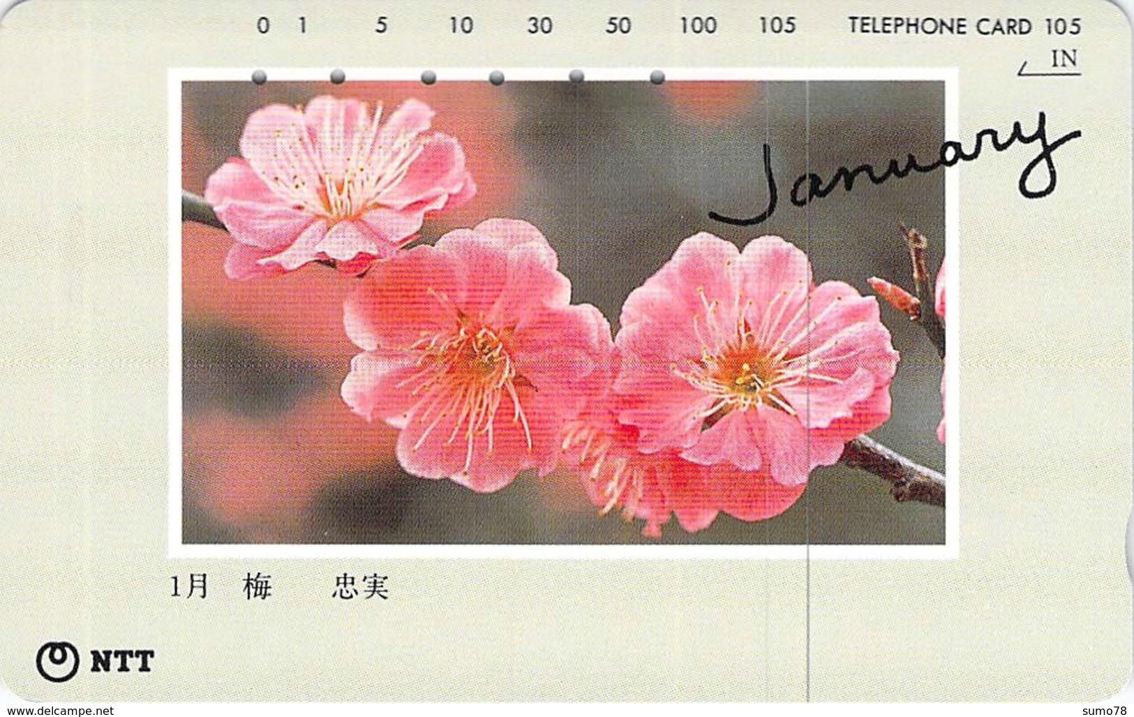 FLEUR - FLOWER - Télécarte Japon - Fleurs