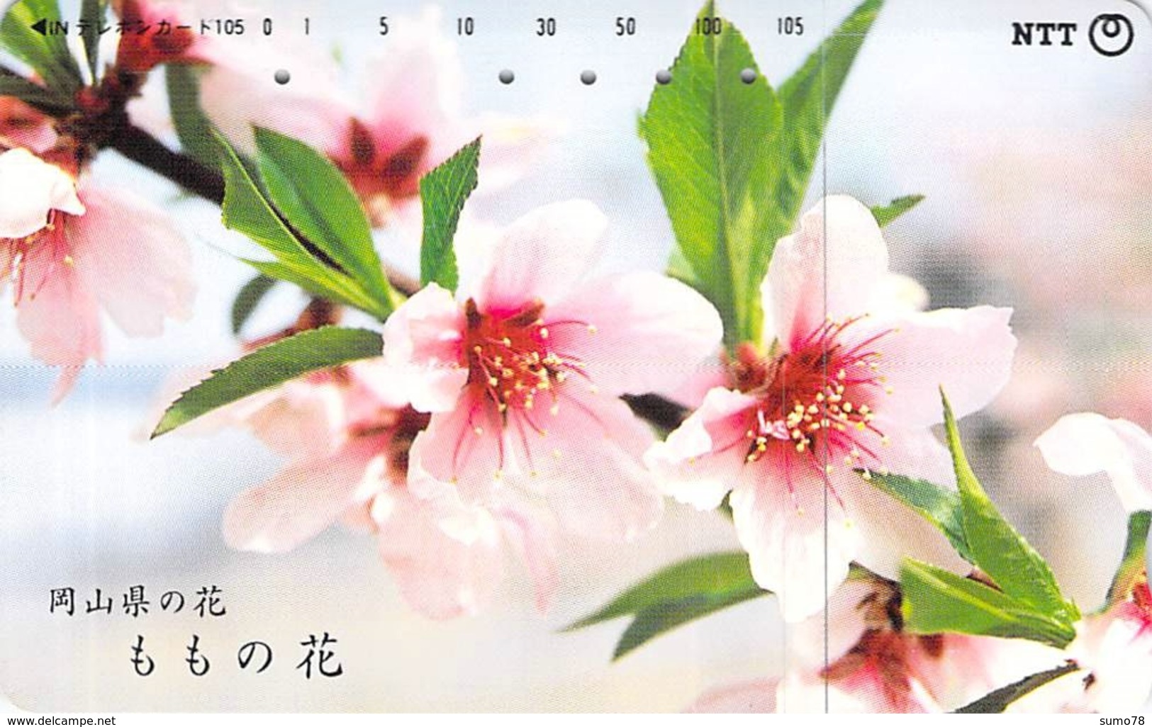 FLEUR - FLOWER - Télécarte Japon - Fleurs