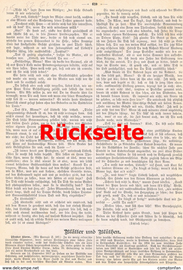 1215 W. Grögler Letzte Garben Alpachtal Erntezeit Druck 1887 !! - Stiche & Gravuren