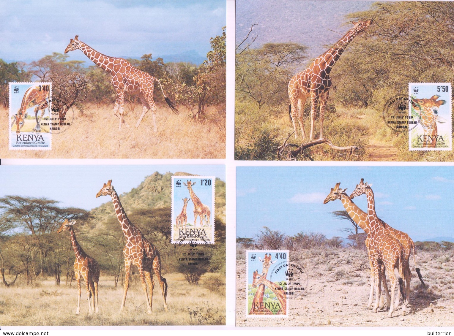 WWF - KENYA - 1989  -  WWF - RETICULATED GIRAFFE  SET  OF 4 MAXI CARDS, - Maximum Cards