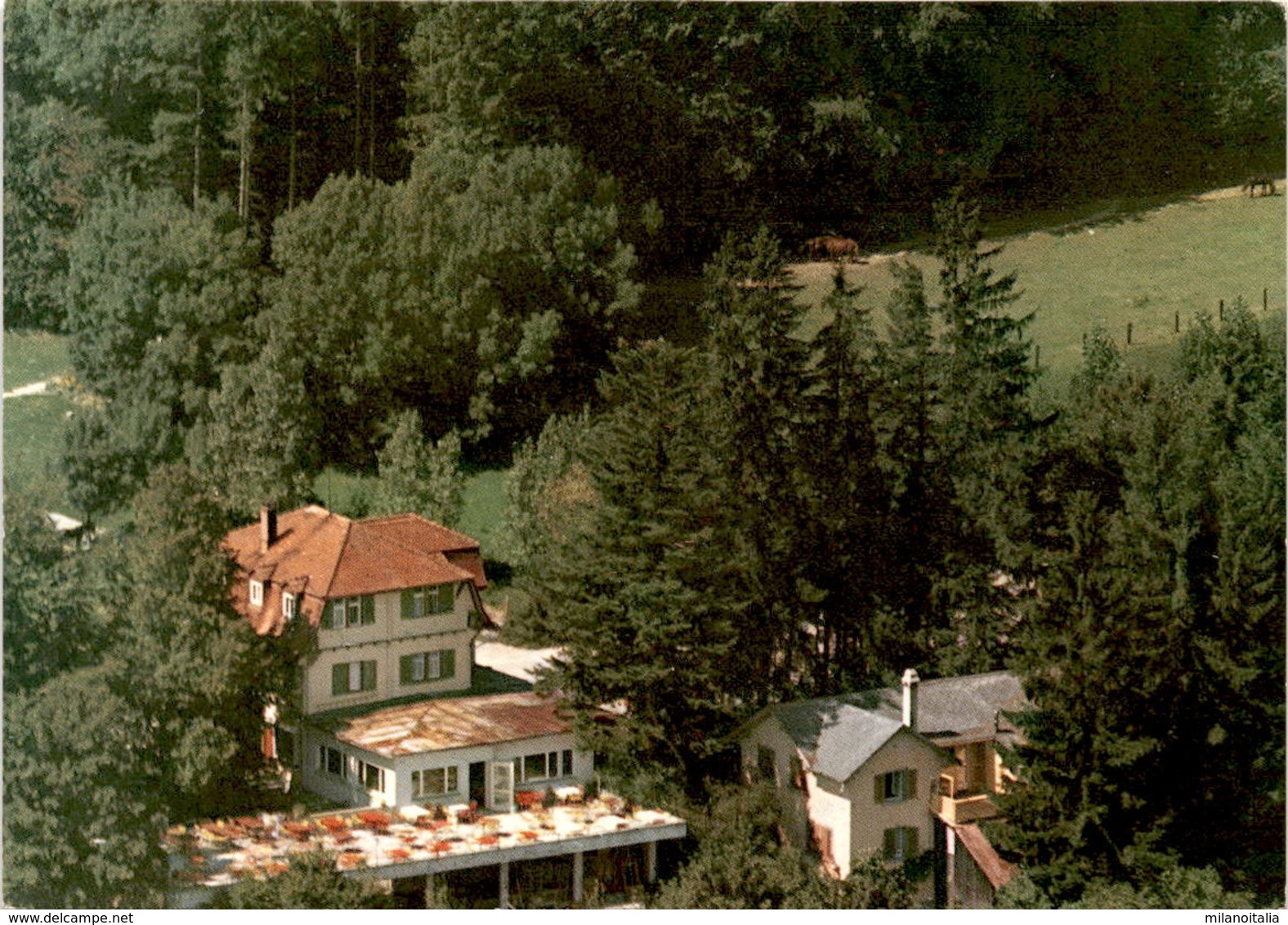 Restaurant "Chalet Hasenberg" Ob Mutschellen - Widen (2876-1-5) - Autres & Non Classés