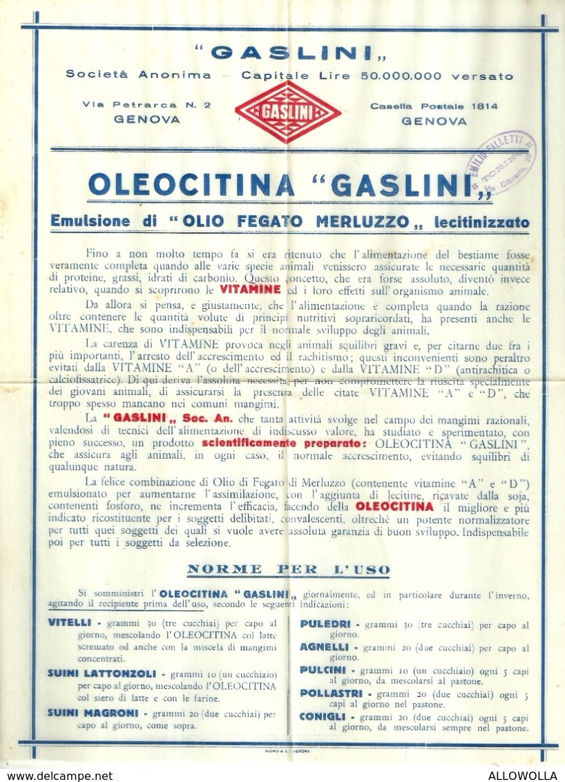 5112 "OLEOCITINA GASLINI-EMULSIONE DI OLIO FEGATO MERLUZZO LECITINIZZATO-GASLINI-GENOVA "- OPUSCOLO ORIG. - Italy