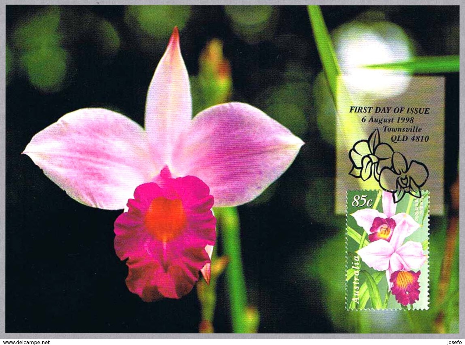 ORQUIDEA Arundina Graminifolia. Tarjeta Maxima-maximun Card. Australia 1998 - Orquideas