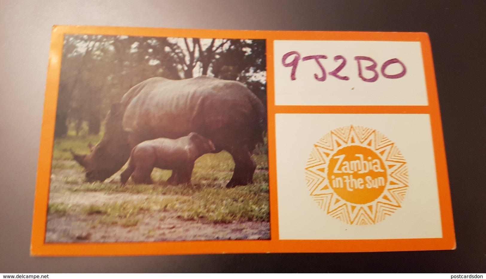 AFRICA, ZAMBIA, Rhino -    Old Postcard - Zambia