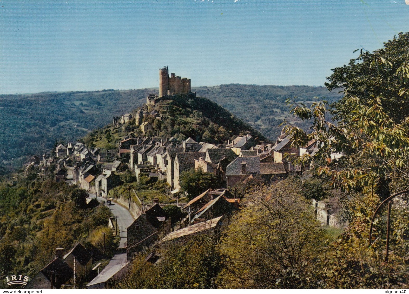 Cp , 12 , NAJAC , Vue Générale Dominée Par Le Château Du XIIIe S. - Najac