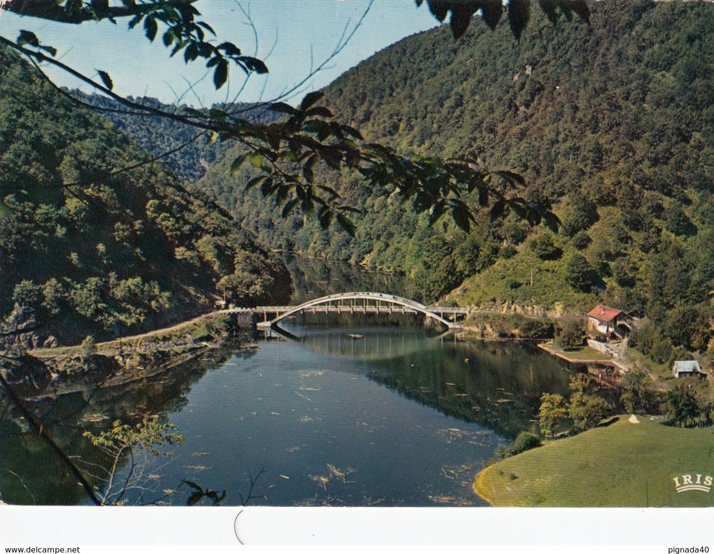 Cp , 19 , NEUVIC-D'USSEL , Route De CHAMPAGNC (Cantal), Le Pont De Vernejoux Sur La Dordogne - Ussel