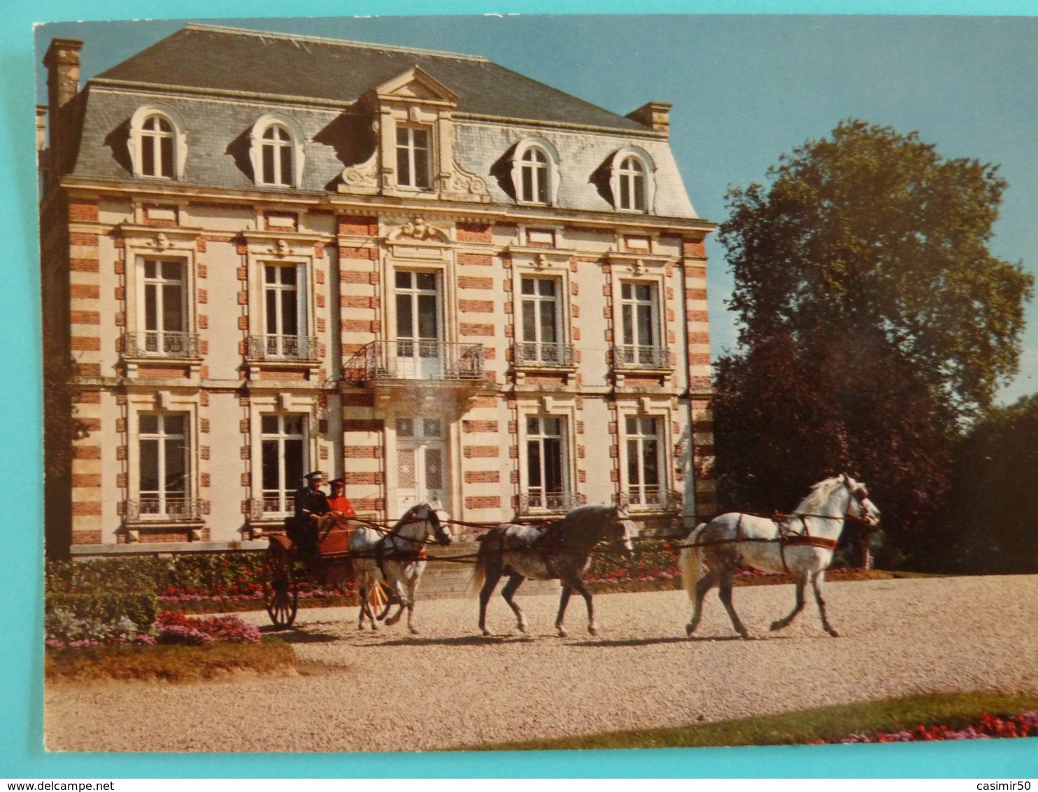 Saint Lo Haras Attelage De Poneys - Saint Lo