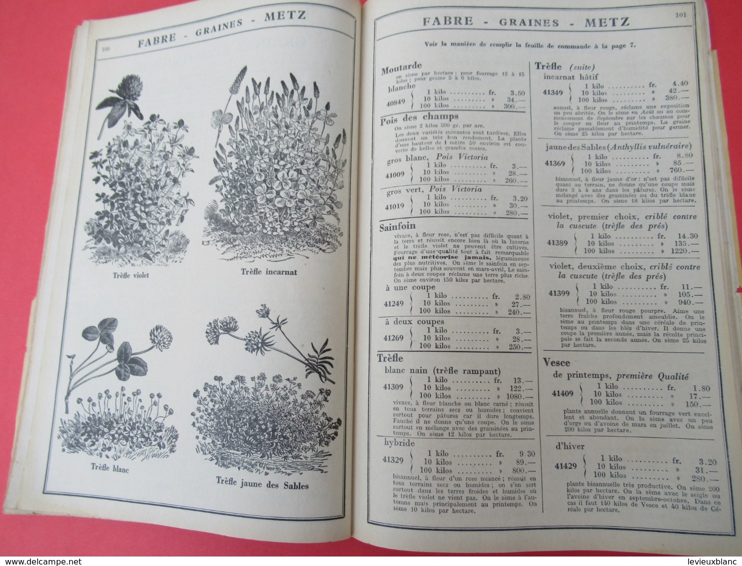 Catalogue Général/ FABRE/ Grainetier/Rue Mazelle/  METZ/ Moselle// 1934                             CAT250