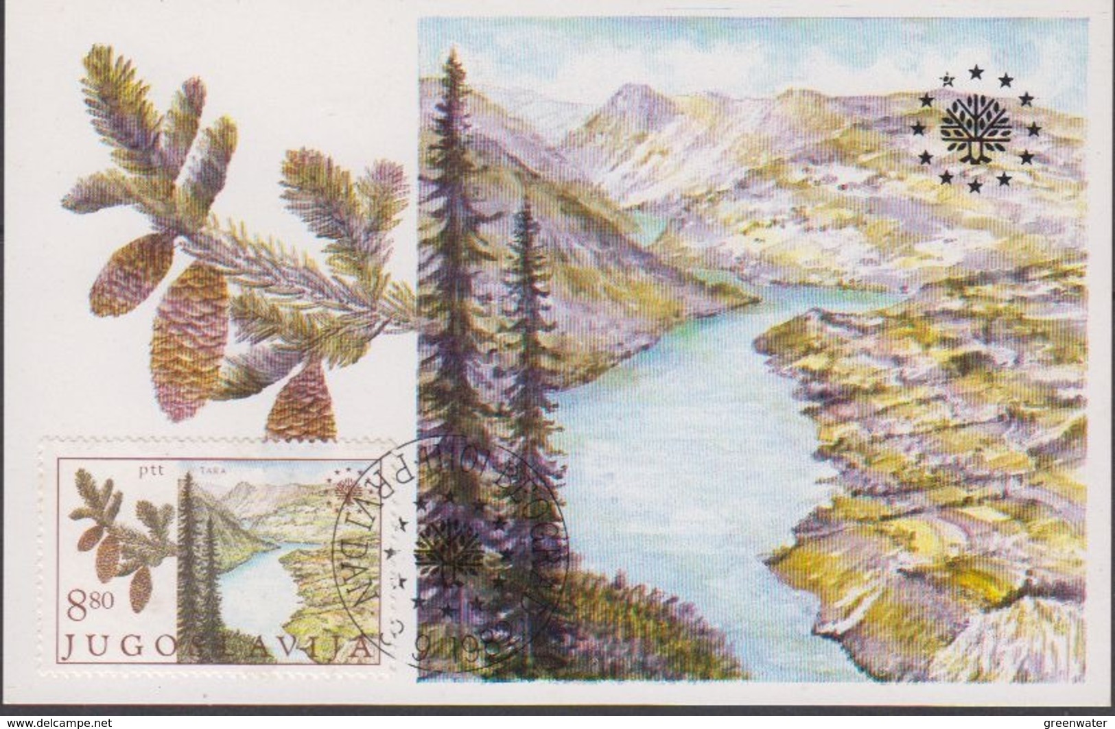 Yugoslavia 1982 European Nature 1v National Park Tara Maxicard (44518) - European Ideas